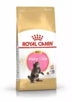 Сухой корм RC Kitten Maine Coon для котят крупных пород, 10 кг