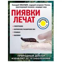 Пиявки лечат: гипертонию, варикозное расширение вен, тромбоз, ишемию