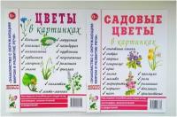 Цветы; Садовые цветы в картинках. Знакомство с окружающим миром и развитие речи. Гном