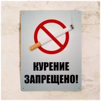 Металлическая табличка Курение запрещено, 20х30 см