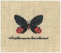 Набор для вышивания: PAPILLON: ATROPHANEURA( Бабочка ATROPHANEURA)