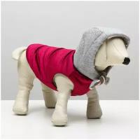 Куртка для собак зимняя, L (ОШ 29-34, ОГ 41-47, ДС 31 см), красная