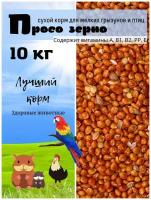 просо сухой корм зерно для попугаев птиц мелких грызунов для роста и развития