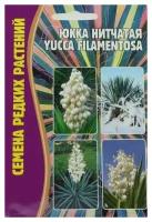 Семена Юкки Нитчатой (Yucca filamentosa) (15 семян)