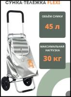 Сумка-тележка Joy Home, 45 л, 39.5х66х32 см, ручная кладь, зеленый, черный