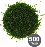 Бисер темно-зеленый с оттенками (25А) оптом, 500 гр, размер 12