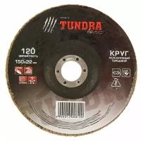 Лепестковый диск Тундра 1300812, 1 шт