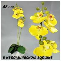Орхидея реалистичная в керамическом горшке 48см