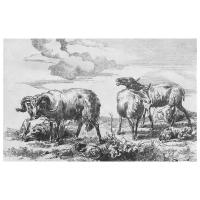 Репродукция на холсте Баран и овцы Берхем Николас 47см. x 30см