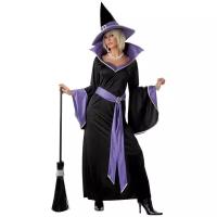 Костюм Великолепная ведьма взрослый California Costumes