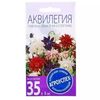 Семена цветов Аквилегия Туфельки Эльфов, многолетник, 0,1 гр