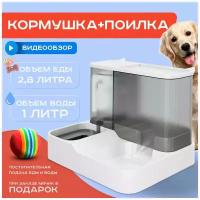 Кормушка и поилка PetPaw для кошек и собак на подставке с контейнерами для корма и воды