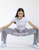 Брюки спортивные широкие SORRY, I'M NOT™ MENSPREADING, женские, цвет меланж, размер L