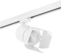 Трековый светодиодный светильник Lightstar Canno Led (301562+202996) C156296