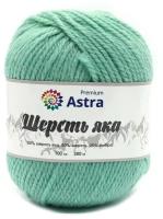 Пряжа для вязания Astra Premium 'Шерсть яка' (Yak wool), 100 г, 120 м (+/-5%) (25% шерсть яка, 50% шерсть, 25% фибра) (02 мятный), 2 мотка