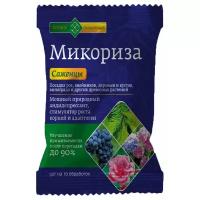 Удобрение Долина Плодородия Биостимулятор роста корней Микориза Саженцы 50г