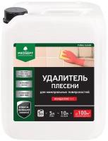 Удалитель плесени Prosept Fungi Clean Концентрат 1:1, 5л