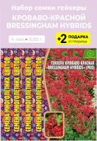 Семена Гейхера кроваво-красная Bressingham Hybrids, 4 упаковки + 2 Подарка