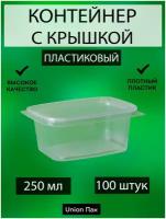 Контейнер с крышкой одноразовый пластиковый 250 мл 100 штук