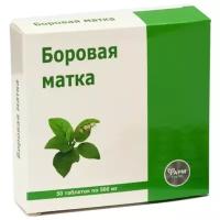 Боровая матка таб., 50 шт., 1 уп