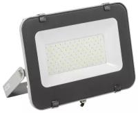 Прожектор IEK СДО 07-100 LED 100Вт IP65 6500К сер. LPDO701-100-K03