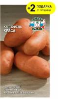 Семена Картофель 