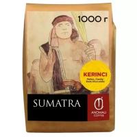 Кофе в зернах ANOMALI COFFEE Индонезия SUMATRA KERINCI 1 кг, Арабика 100%, Specialty coffee, суматра, Средняя обжарка, Premium coffee, моносорт, кофе зерновой, кофе черный, кофе для кофемашины, для турки, для френч-пресса, для фильтра