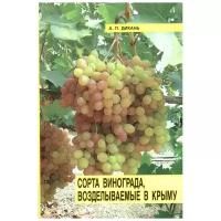 Основные сорта винограда, возделываемые в Крыму