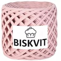 Трикотажная пряжа Biskvit Крем, 100 м