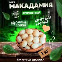 Ядра орехов Макадамия Здоровая Семья сырые нежареные очищенные без добавок (вакуум), 1 кг (1000 г)