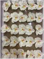 Мыльные орхидеи Белые, коробка 25 шт