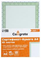 Бумага Calligrata А4 Зеленый орнамент 120 г/м², 25 л, зеленый