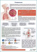 Пневмония медицинский плакат