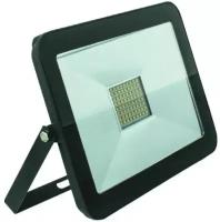 Прожектор Foton Lighting FL-LED Light-PAD 100W Black 6400К 8500Лм 100Вт AC220-240В 240x166x26мм