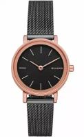 Наручные часы SKAGEN Hald