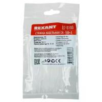 REXANT 07-0100 2.5 х 100 мм