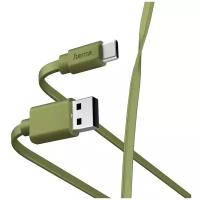 Кабель Hama 00187231 USB (m)-USB Type-C (m) 1 м, зеленый плоский