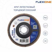Круг лепестковый плоский (125х22.2 мм; Р80) Flexione 10000645