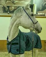 Попона для лошади вафельная ANIKA HORSE (Whitehorseshop)