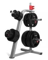 Стойка для дисков Fitnessport DR-02