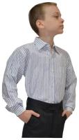 Школьная рубашка TUGI, размер 146, синий, белый