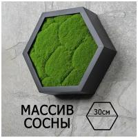 Декоративная полка - пано со мхом (кочки) Сота настенная серия PINE, 30х26х8,5 см, черный