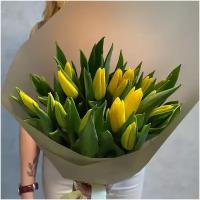 Букет из 25 желтых тюльпанов сорта стронг голд 40см (россия) с атласной лентой