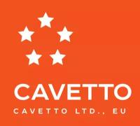 CAVETTO 236-1029240 Сальник ЯМЗ вала привода ТНВД 2.2-24х46х10 Viton CAVETTO