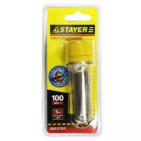 Отвес каменщика STAYER Master 0635-10_z01