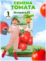 Томат Интрига F1 10 шт АСТ / семена томатов для посадки / помидор для балкона дома теплицы сада