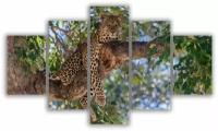 Модульная картина для интерьера отдыхающий леопард 140x80 см
