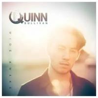 Виниловая пластинка Quinn Sullivan - Wide Awake (Teal Vinyl). 1 LP