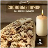 Сушеные почки Сосны / Сосновые почки для свечей и ритуалов, 5 гр