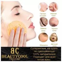 BEAUTYCOOL Professional / Экологически чистый спонж (губка) из целлюлозы для умывания лица и снятия макияжа, влажный, не сухой, 80х8мм, 2шт